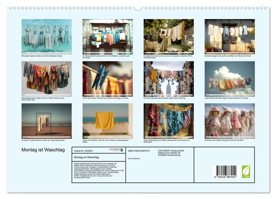 Montag ist Waschtag (CALVENDO Premium Wandkalender 2027)