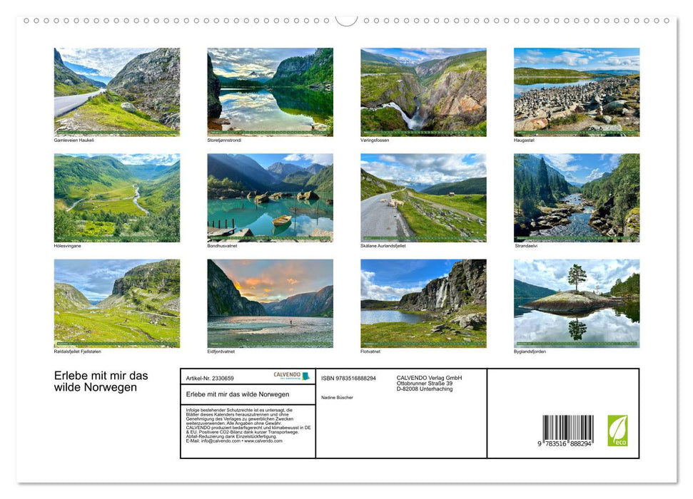 Erlebe mit mir das wilde Norwegen (CALVENDO Premium Wandkalender 2027)