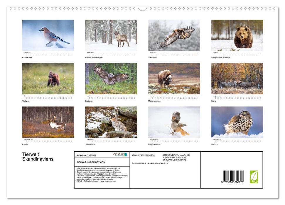 Tierwelt Skandinaviens (CALVENDO Premium Wandkalender 2027)