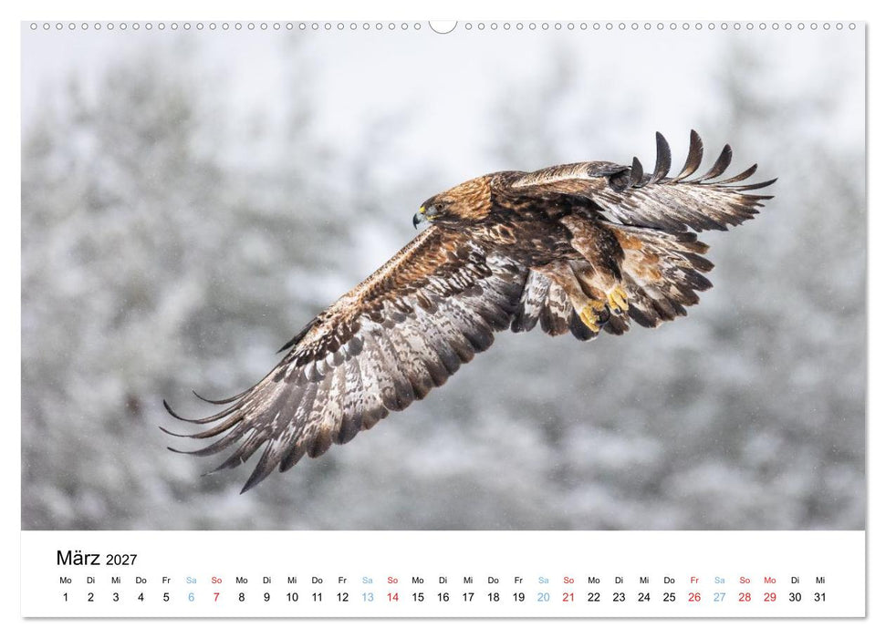 Tierwelt Skandinaviens (CALVENDO Premium Wandkalender 2027)