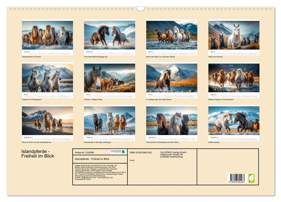 Islandpferde - Freiheit im Blick (CALVENDO Wandkalender 2027)