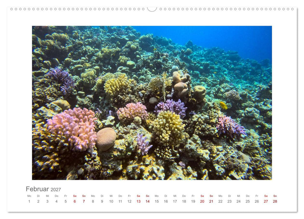 Ägypten - unterwegs mit Julia Hahn (CALVENDO Wandkalender 2027)
