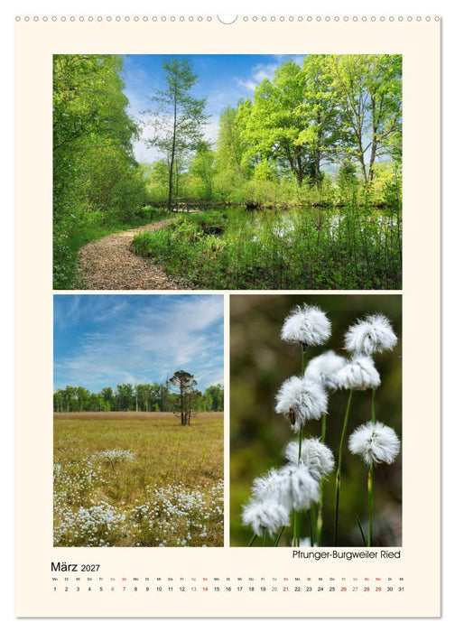 Riede und Moore in Schwaben (CALVENDO Premium Wandkalender 2027)