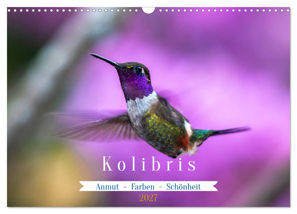 Kolibris; Anmut, Schönheit, Farben (CALVENDO Wandkalender 2027)