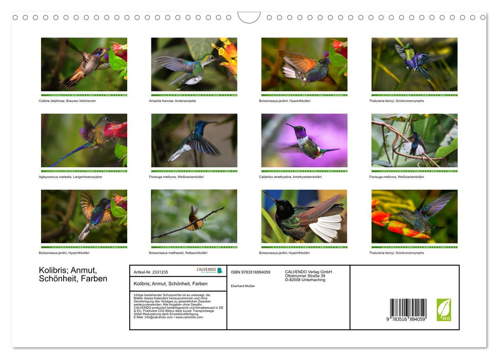 Kolibris; Anmut, Schönheit, Farben (CALVENDO Wandkalender 2027)