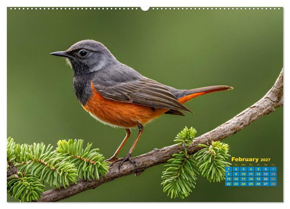 Singers from our regions - Our intimate nature (CALVENDO Monthly Calendar 2027)