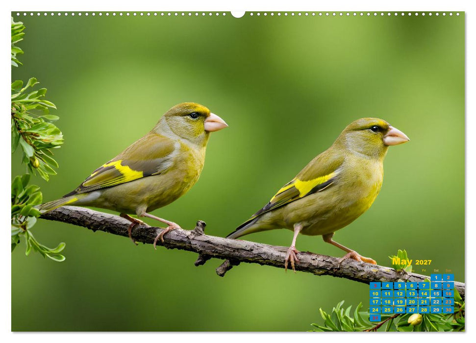 Singers from our regions - Our intimate nature (CALVENDO Premium-Calendar 2027)