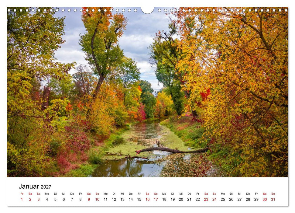 Wälder: die letzte Zuflucht für die Wildnis (CALVENDO Wandkalender 2027)