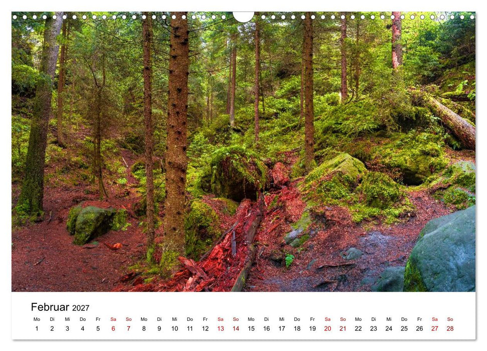 Wälder: die letzte Zuflucht für die Wildnis (CALVENDO Wandkalender 2027)