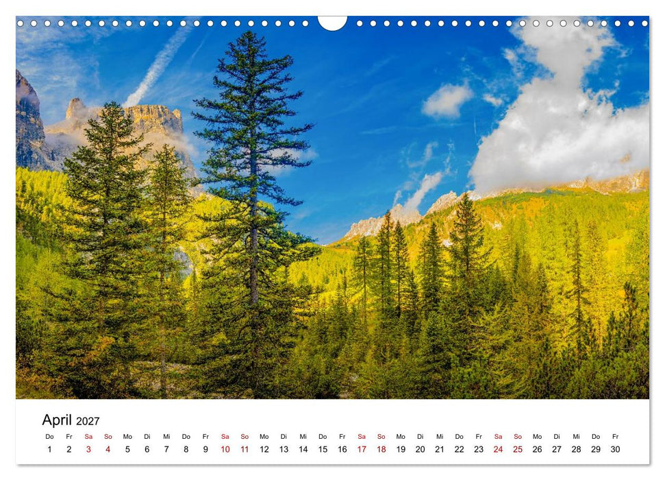 Wälder: die letzte Zuflucht für die Wildnis (CALVENDO Wandkalender 2027)