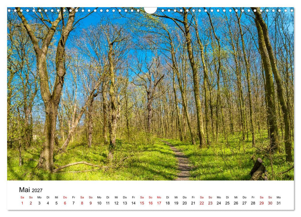 Wälder: die letzte Zuflucht für die Wildnis (CALVENDO Wandkalender 2027)