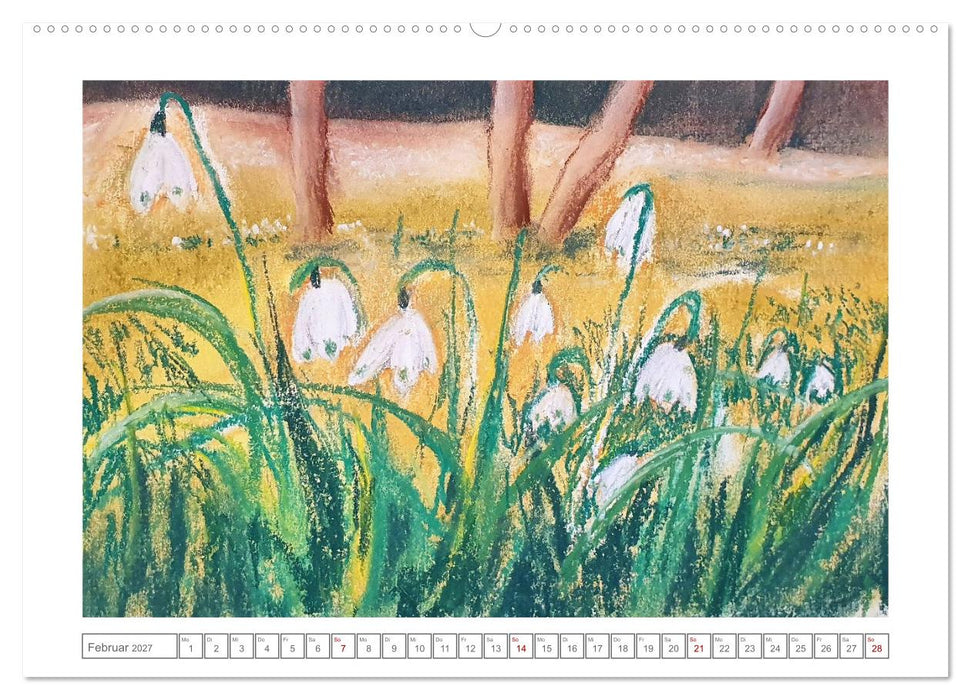 Im sanften Licht der Jahreszeiten. (CALVENDO Premium Wandkalender 2027)