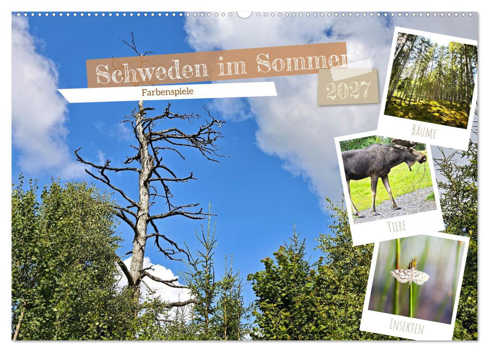 Schweden im Sommer (CALVENDO Wandkalender 2027)