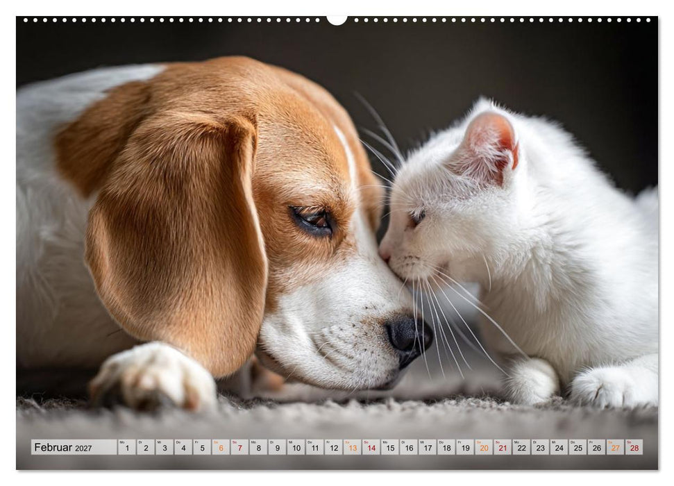 Hund und Katze - Tierische Freunde (CALVENDO Wandkalender 2027)