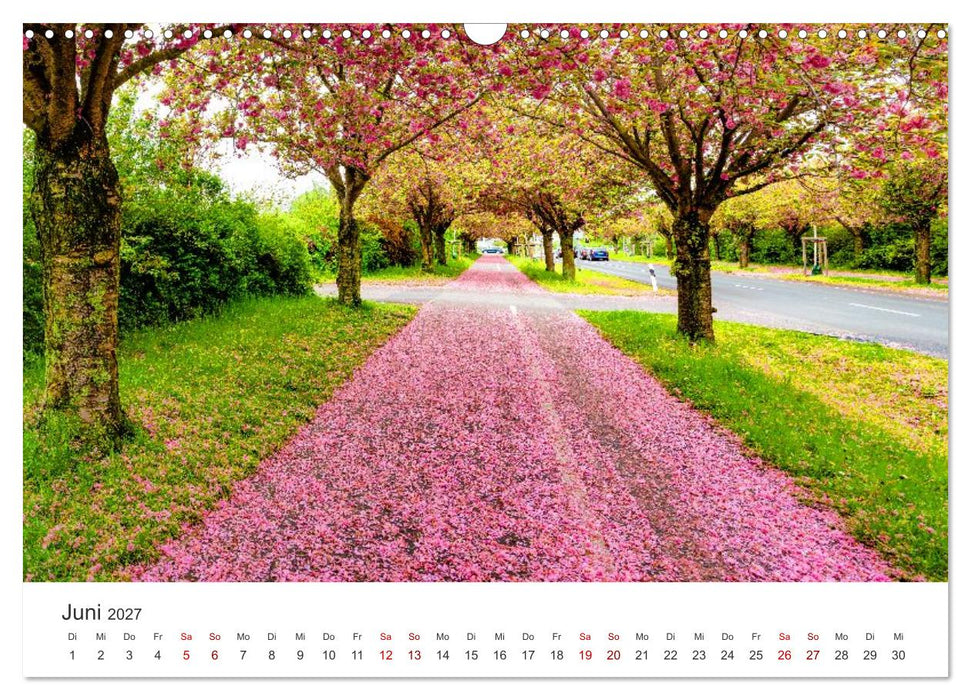 Deutschland: Magdeburg, Stadtansichten und Umgebung (CALVENDO Wandkalender 2027)