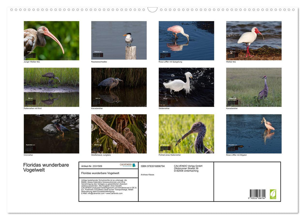 Floridas wunderbare Vogelwelt (CALVENDO Wandkalender 2027)