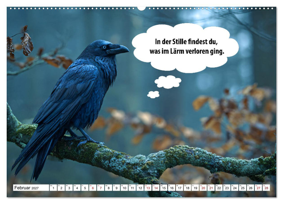 Stille Pfoten, weise Worte - Tiere zeigen dir den Weg zu mehr Gelassenheit (CALVENDO Wandkalender 2027)
