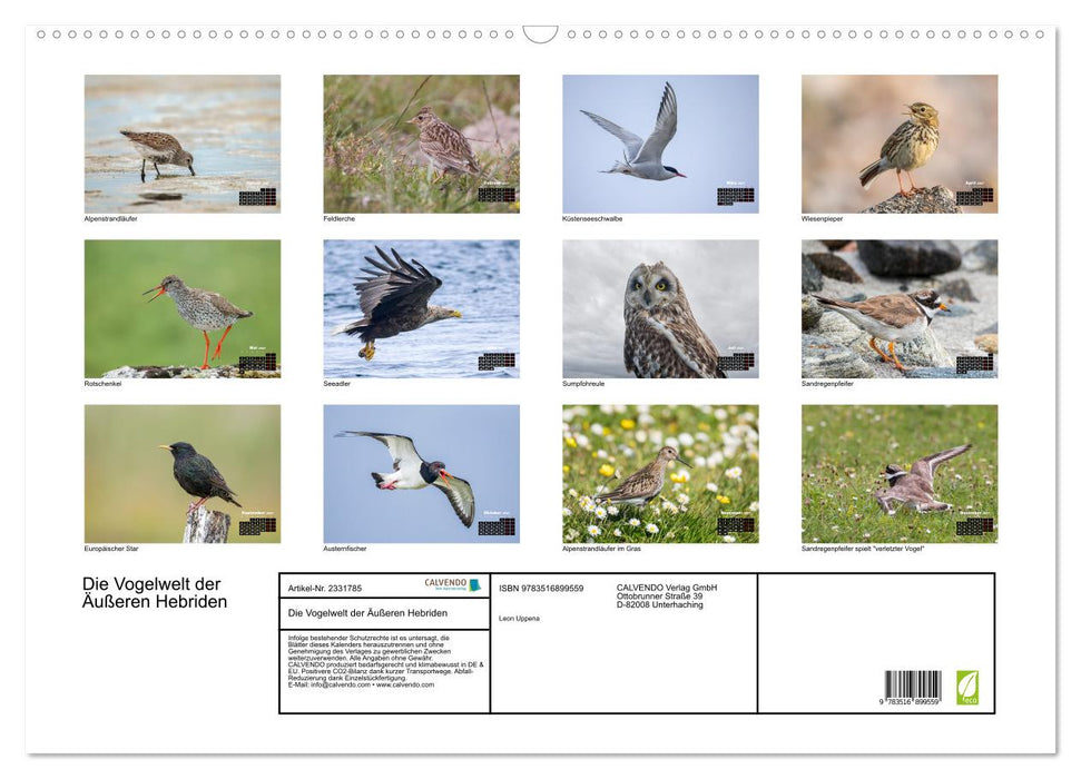 Die Vogelwelt der Äußeren Hebriden (CALVENDO Wandkalender 2027)