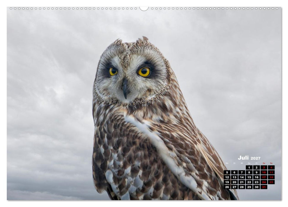 Die Vogelwelt der Äußeren Hebriden (CALVENDO Premium Wandkalender 2027)