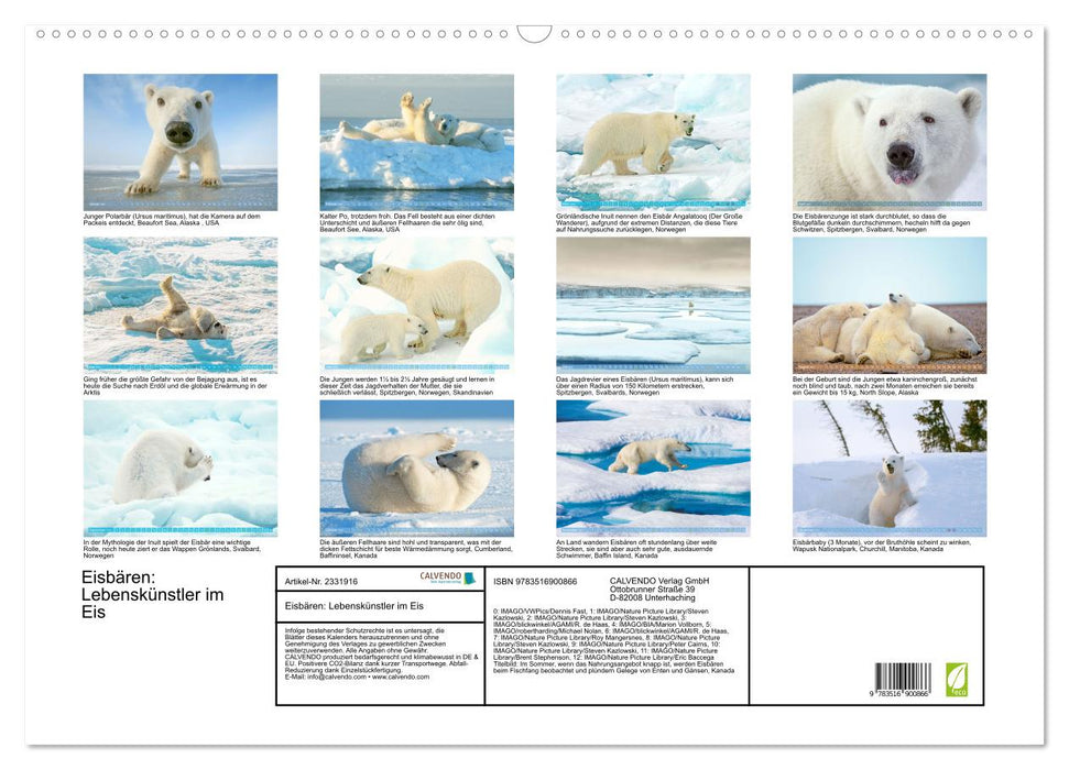 Eisbären: Lebenskünstler im Eis (CALVENDO Wandkalender 2027)