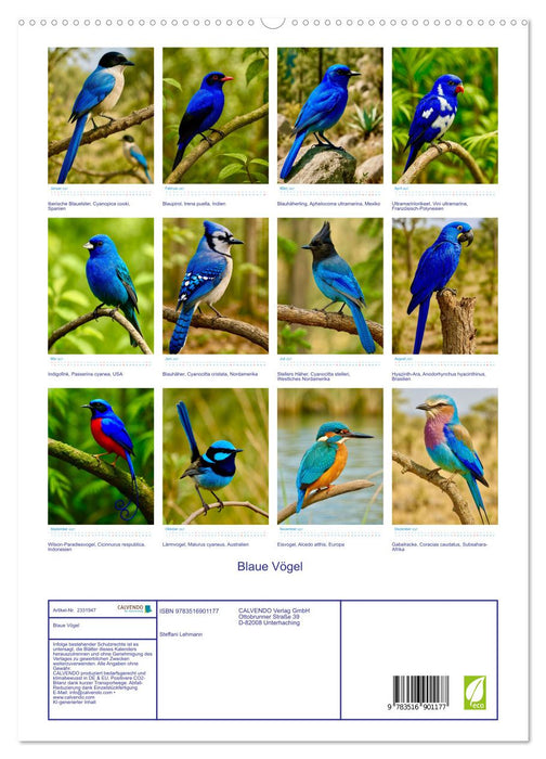 Blaue Vögel (CALVENDO Premium Wandkalender 2027)
