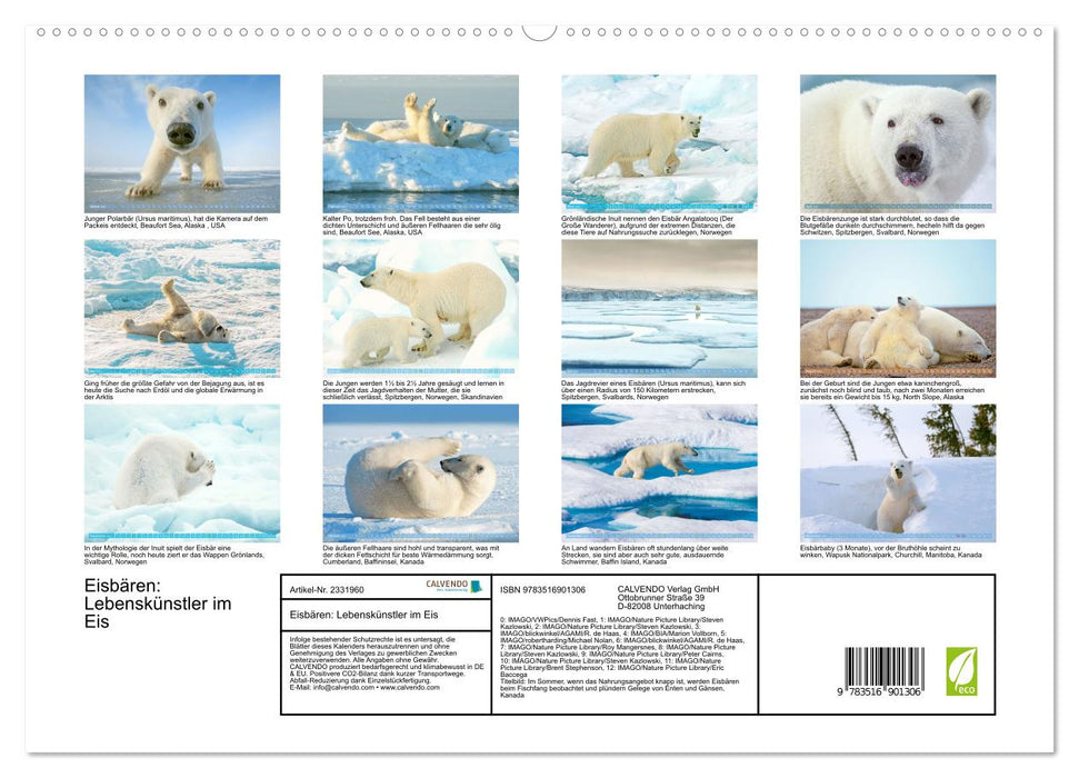 Eisbären: Lebenskünstler im Eis (CALVENDO Premium Wandkalender 2027)