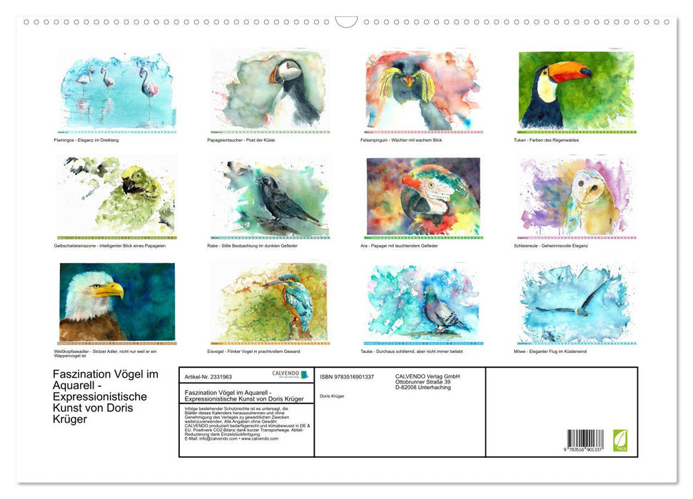 Faszination Vögel im Aquarell - Expressionistische Kunst von Doris Krüger (CALVENDO Wandkalender 2027)