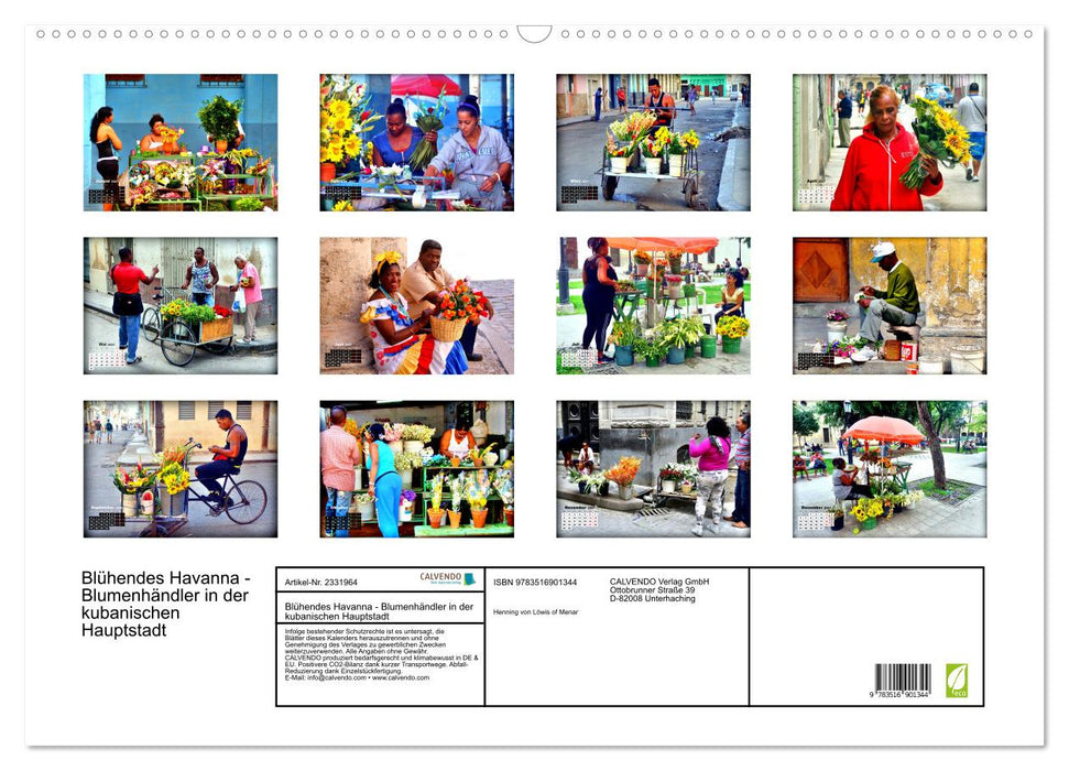 Blühendes Havanna - Blumenhändler in der kubanischen Hauptstadt (CALVENDO Wandkalender 2027)