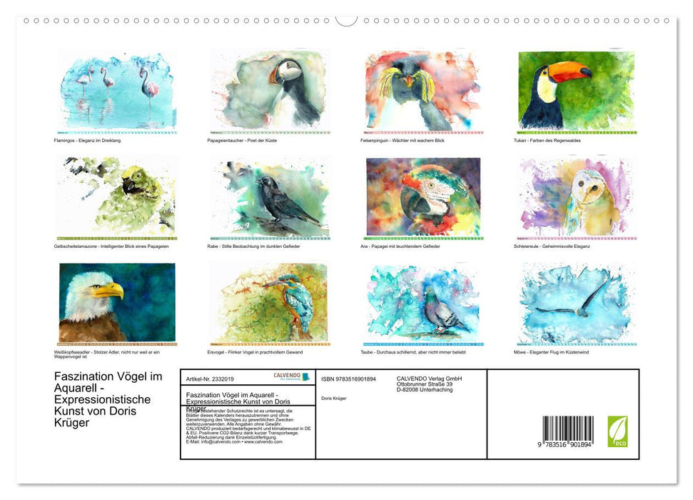 Faszination Vögel im Aquarell - Expressionistische Kunst von Doris Krüger (CALVENDO Premium Wandkalender 2027)