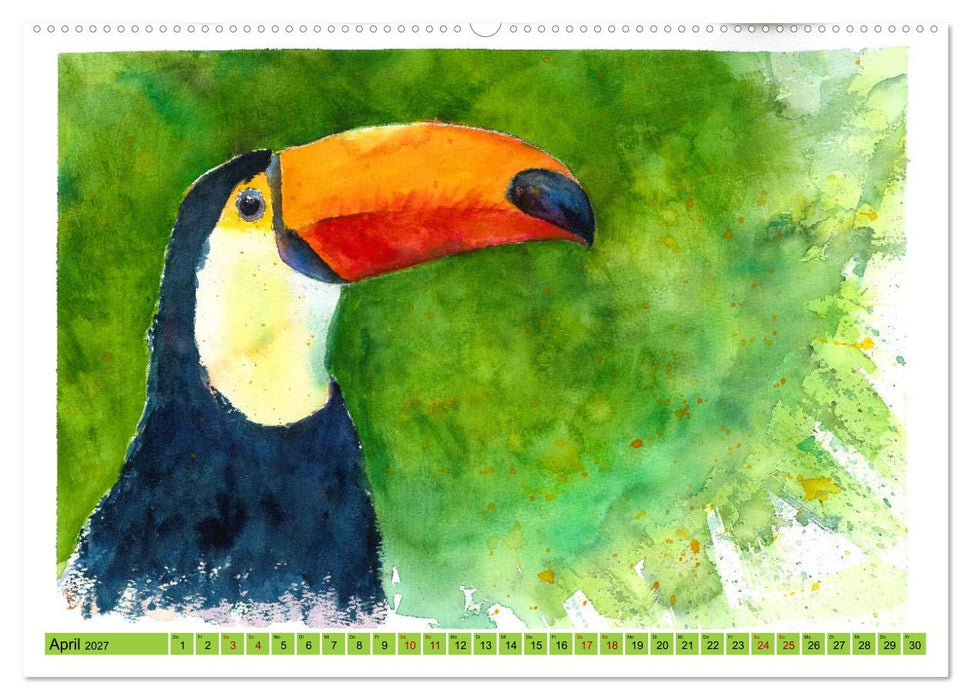 Faszination Vögel im Aquarell - Expressionistische Kunst von Doris Krüger (CALVENDO Premium Wandkalender 2027)