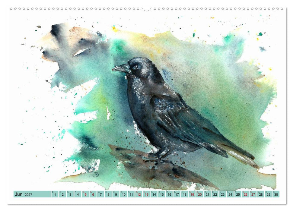 Faszination Vögel im Aquarell - Expressionistische Kunst von Doris Krüger (CALVENDO Premium Wandkalender 2027)