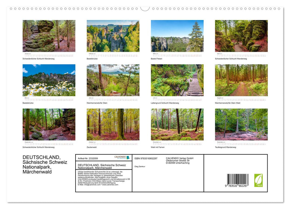 DEUTSCHLAND, Sächsische Schweiz Nationalpark, Märchenwald (CALVENDO Premium Wandkalender 2027)