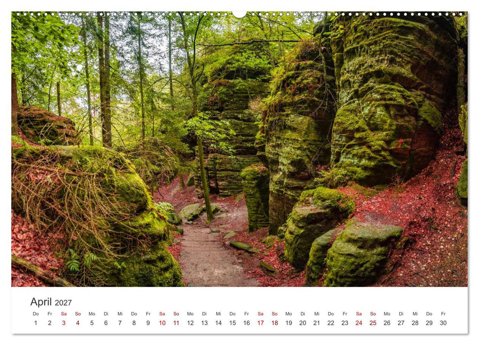 DEUTSCHLAND, Sächsische Schweiz Nationalpark, Märchenwald (CALVENDO Premium Wandkalender 2027)