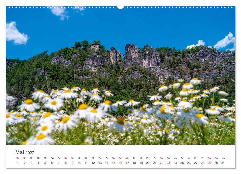 DEUTSCHLAND, Sächsische Schweiz Nationalpark, Märchenwald (CALVENDO Premium Wandkalender 2027)