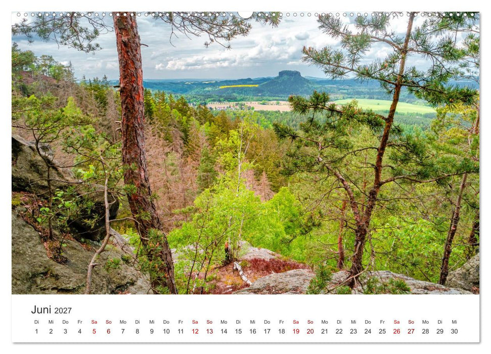 DEUTSCHLAND, Sächsische Schweiz Nationalpark, Märchenwald (CALVENDO Premium Wandkalender 2027)