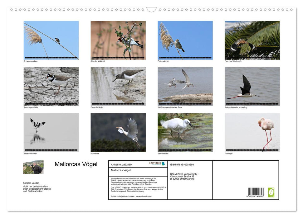 Mallorcas Vögel (CALVENDO Wandkalender 2027)