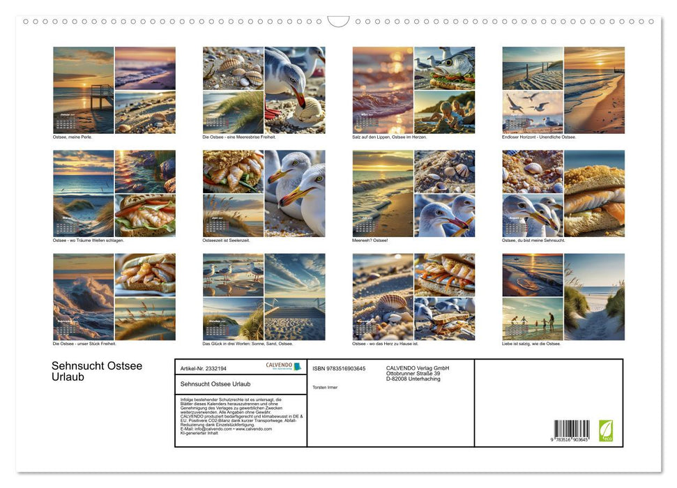 Sehnsucht Ostsee Urlaub (CALVENDO Wandkalender 2027)