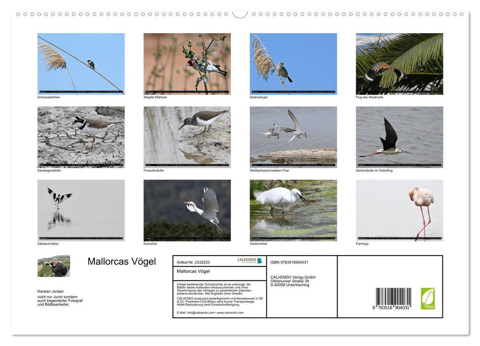 Mallorcas Vögel (CALVENDO Premium Wandkalender 2027)