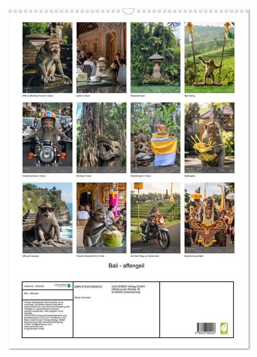 Bali - affengeil (CALVENDO Wandkalender 2027)