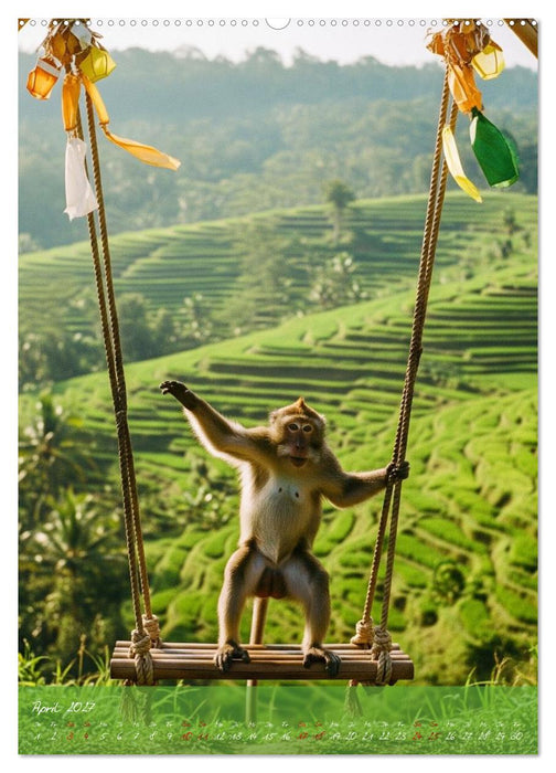 Bali - affengeil (CALVENDO Wandkalender 2027)