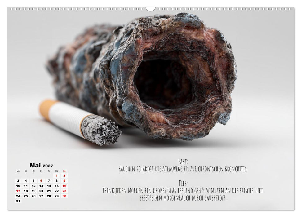 Nichtraucher Kalender - Rauchfrei werden mit Fakten und Tipps für Raucher (CALVENDO Wandkalender 2027)