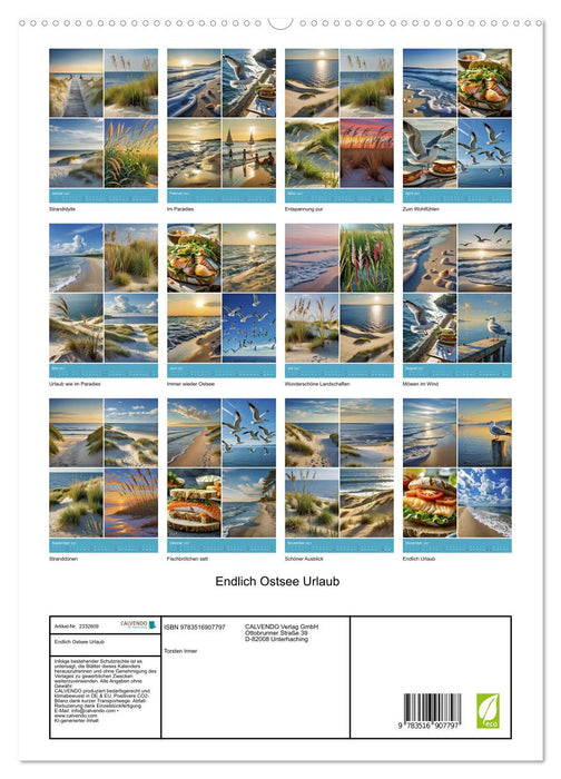 Endlich Ostsee Urlaub (CALVENDO Premium Wandkalender 2027)