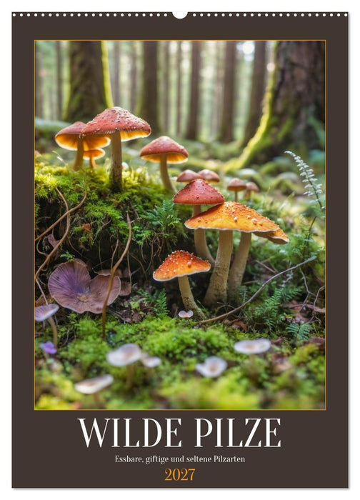 WILDE PILZE - Essbare, giftige und seltene Pilzarten (CALVENDO Wandkalender 2027)