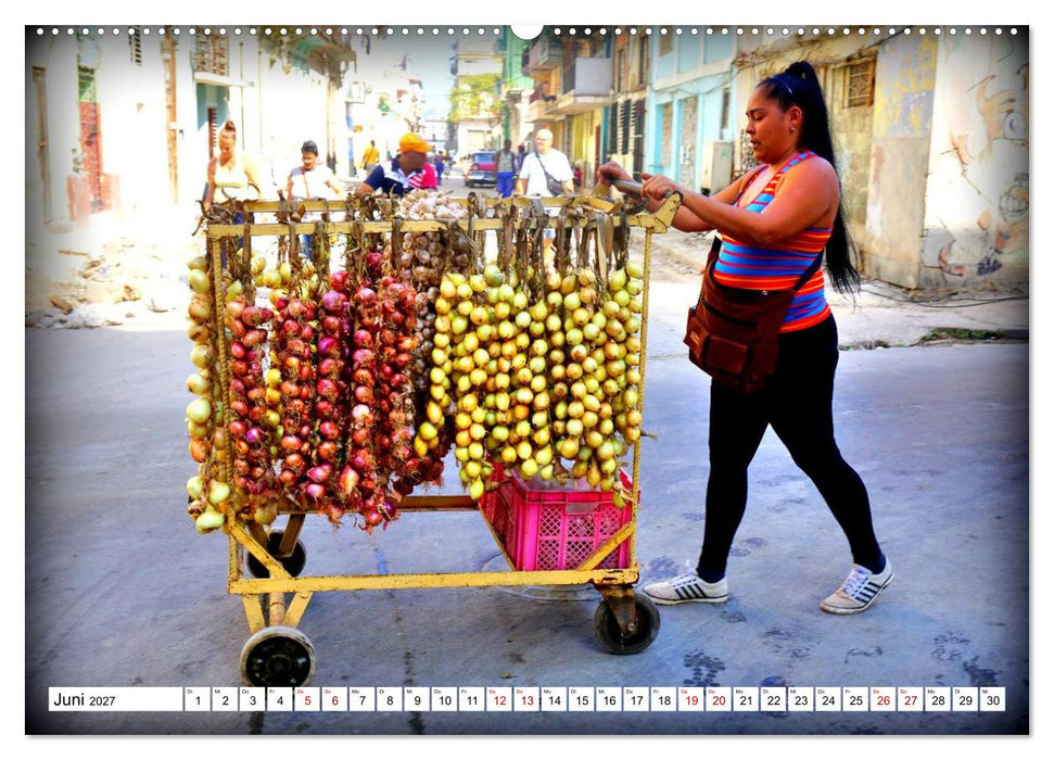 HAVANNA - Beruf Zwiebel-Händler (CALVENDO Wandkalender 2027)