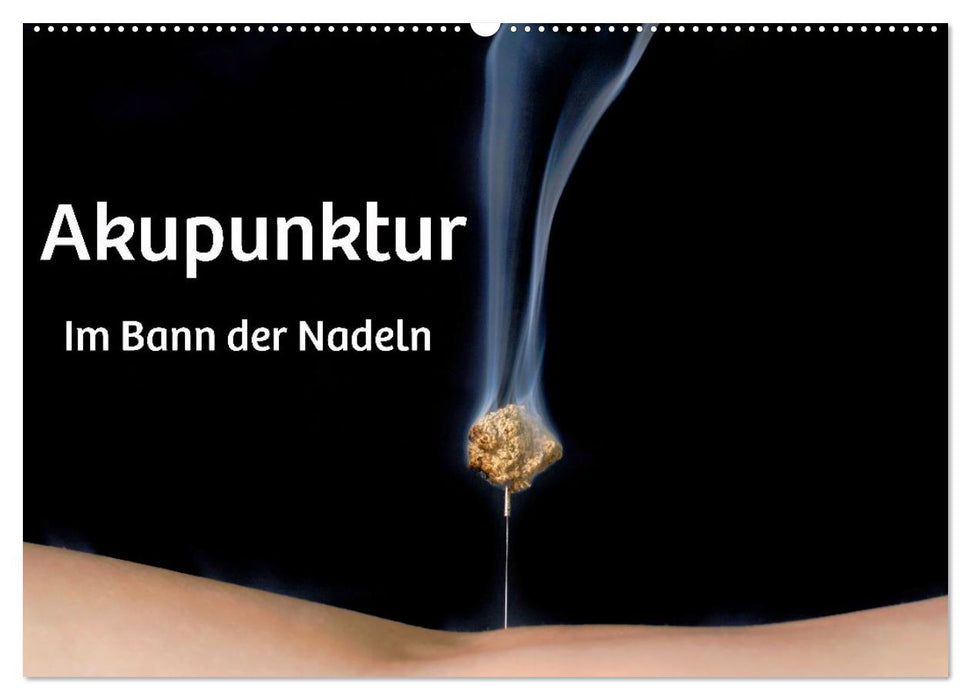 Akupunktur - Im Bann der Nadeln (CALVENDO Wandkalender 2027)