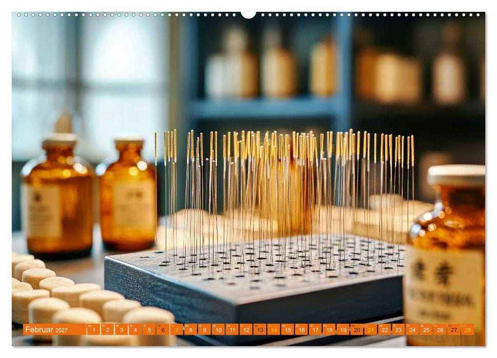 Akupunktur - Im Bann der Nadeln (CALVENDO Premium Wandkalender 2027)