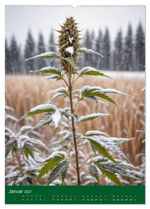 Grow your Year - Der Cannabis Kalender für Fans und Grower (CALVENDO Wandkalender 2027)