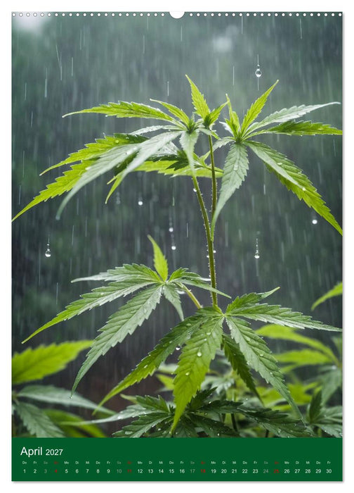 Grow your Year - Der Cannabis Kalender für Fans und Grower (CALVENDO Wandkalender 2027)