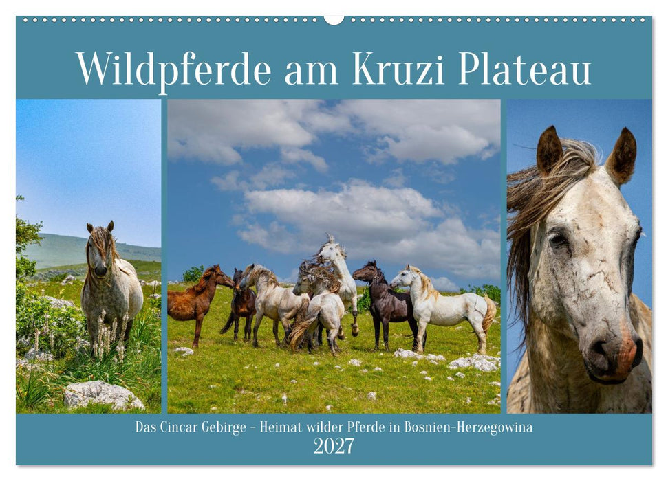Wildpferde am Kruzi Plateau (CALVENDO Wandkalender 2027)