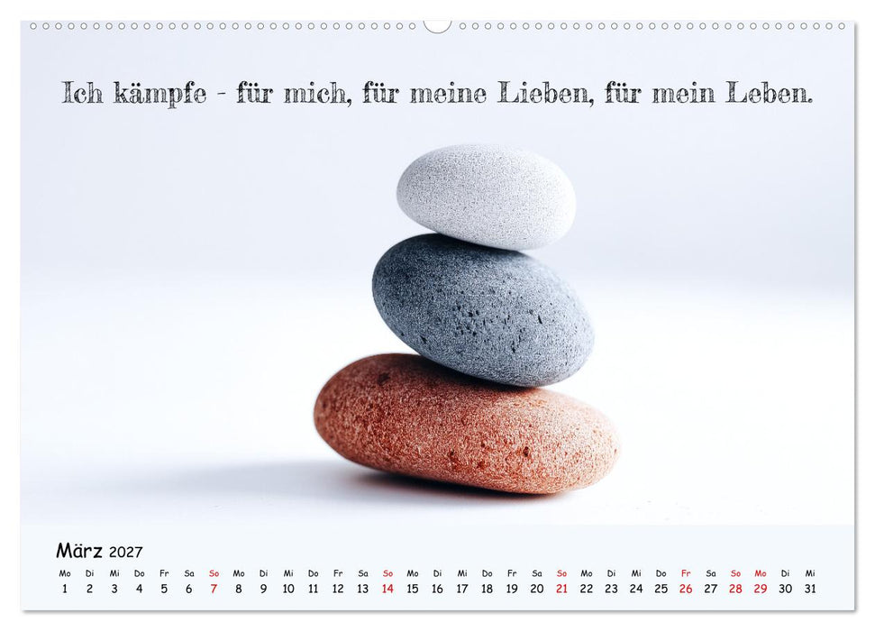 Krebs ist ein Vollidiot - Kalender für alle Kämpfer mit Krebserkrankung (CALVENDO Wandkalender 2027)